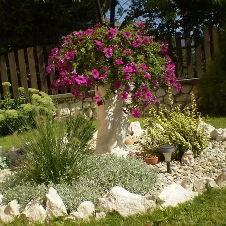 בית הארחה Adriana